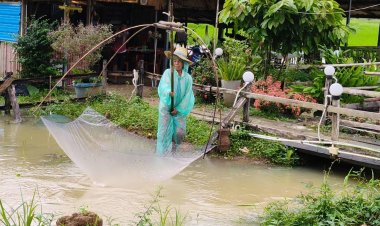 พลิกวิกฤติน้ำท่วมเป็นโอกาส "ชาวนาหมื่นศรี"จับปลาขายสร้างเงินหลักพัน/วัน