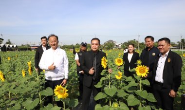 ผู้ว่าฯ ปทุมธานีชวนเที่ยวงาน“ทานตะวันบานสะพรั่งทั่วระแหง ครั้งที่ 6” เสริมแกร่งเศรษฐกิจฐานรากยั่งยืน