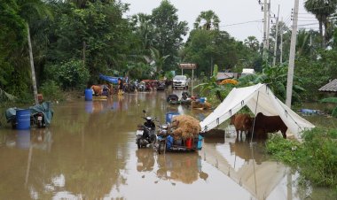 สัตว์ล้มตาย–ฟาร์มจมน้ำ! ปศุสัตว์เปิดเงื่อนไขเยียวยาฉุกเฉินปี 2568 ช่วยเกษตรกรใต้ 9 จังหวัด