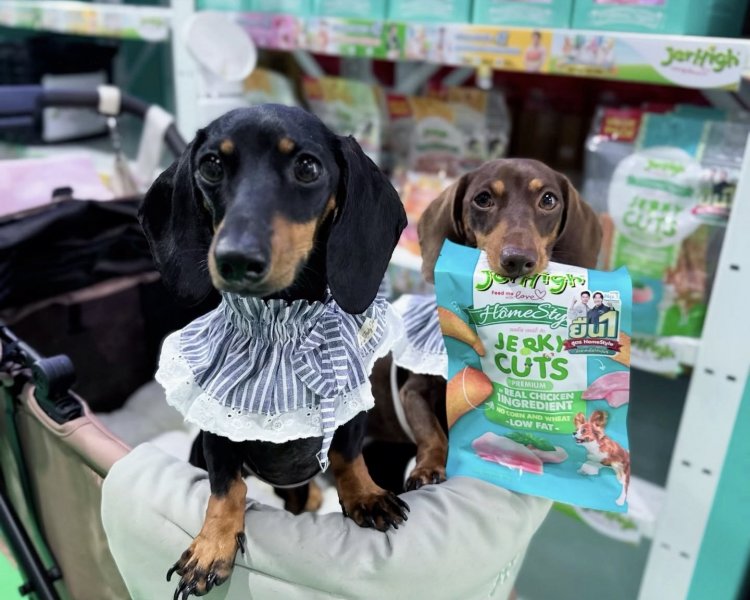 'เจอร์ไฮ - จินนี่' ขับเคลื่อนแบรนด์ไทยสู่เวทีโลก ด้วยนวัตกรรมและคุณภาพอาหารสัตว์เลี้ยงระดับพรีเมียม