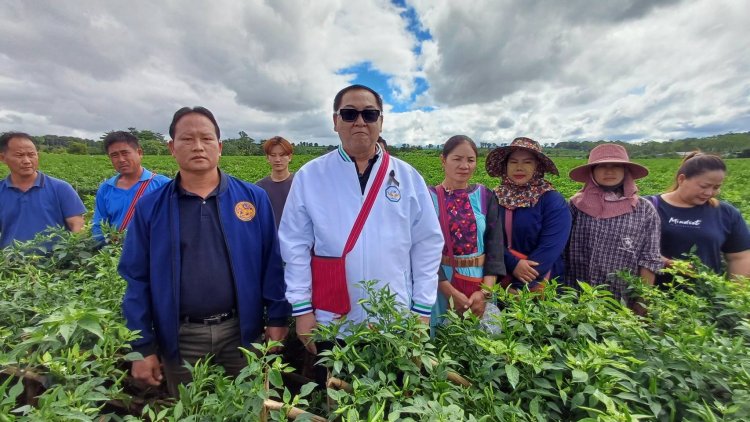 “นายกเคี้ยง  พรรคกล้าธรรม” ลุยแก้ปัญหาพริกตกต่ำ แนวโน้มราคาพุ่ง