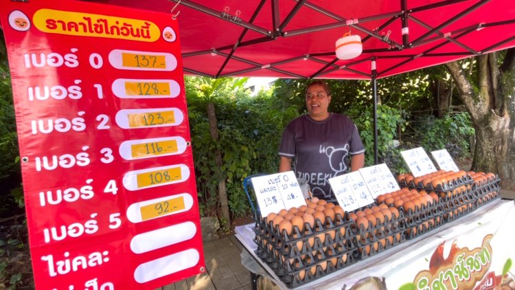 ราคาไข่ไก่เมืองตัวผันผวนต่อเนื่องปรับขึ้นลงบ่อยคาดแม่ไก่ปลดระวาง