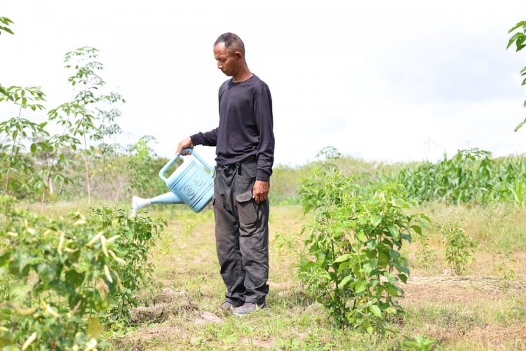"สายชล พรมนุ้ย"สืบสานพระราชปณิธาน"พระพันปีหลวง"ทำเกษตรครบวงจรต้นแบบชุมชน
