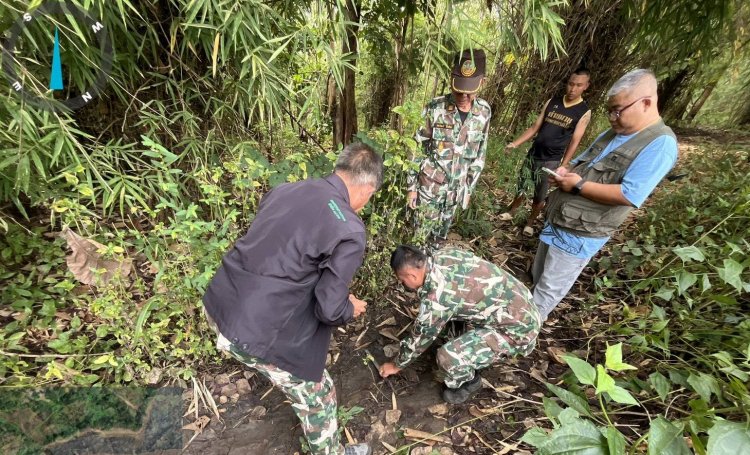 ผวาทั้งหมู่บ้านพบรอยเท้าเสือโผล่ต.แม่ปะ-วัวชาวบ้านสูญหายไร้ร่องรอย