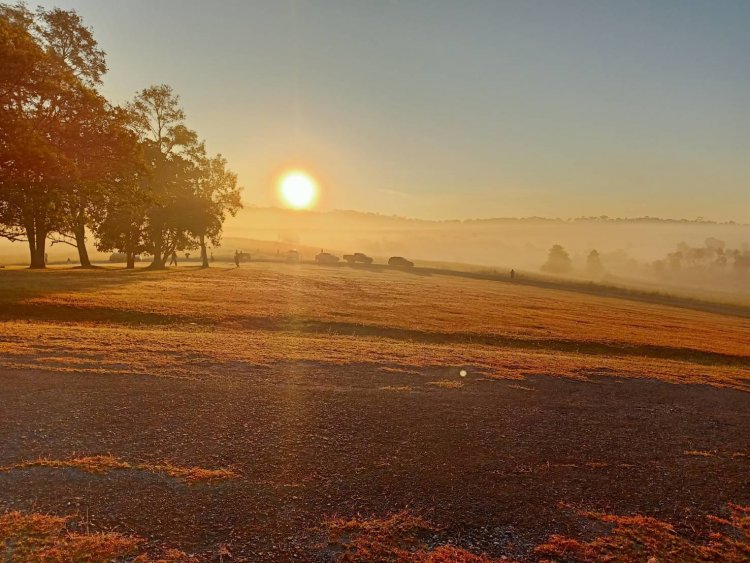 ชัยภูมิหนาวสุด! ตามรอย 'พระพันปีหลวง' ทุ่งกระมังอวดโฉม "ซาฟารีเมืองไทย" นักท่องเที่ยวแห่ส่องสัตว์หายาก