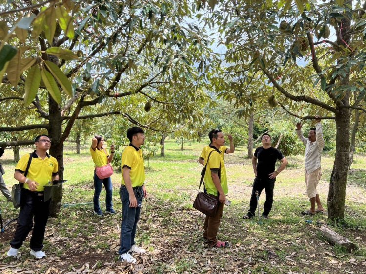 “พืชผลทางการเกษตร” ไทย-กัมพูชา วิกฤติ ราคาตกต่ำไม่แพ้กัน