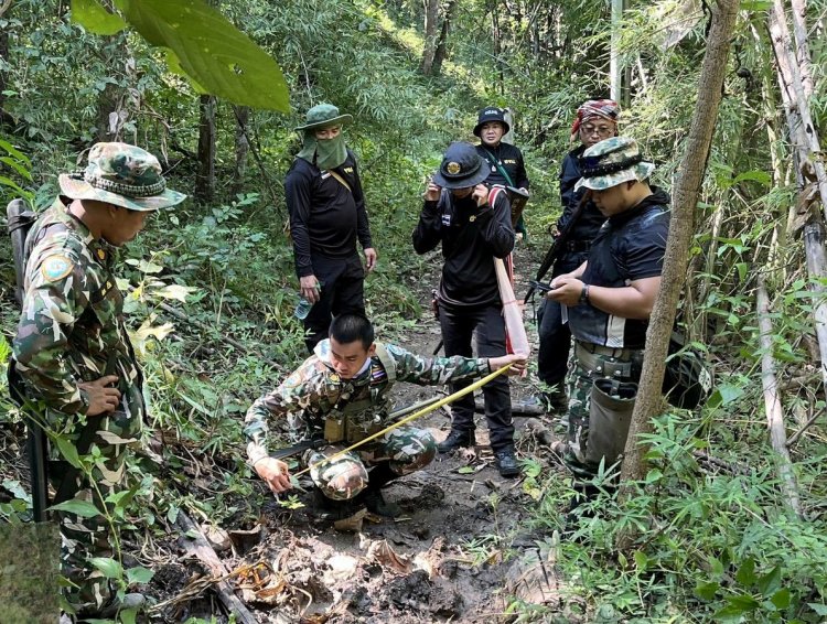 จนท.แม่สอด แกะรอยไล่ล่าเสือแจ้งเตือนชาวบ้านห้ามเข้าป่า