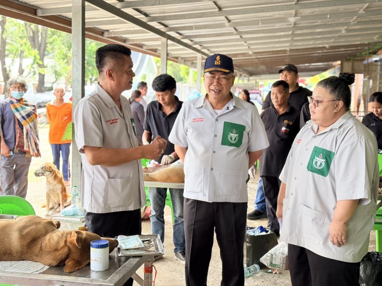 ปศุสัตว์ชัยภูมิ จัดเต็ม! ลงพื้นที่ภูเขียว ผ่าตัดทำหมันฟรี ควบคุมประชากรสุนัข-แมว
