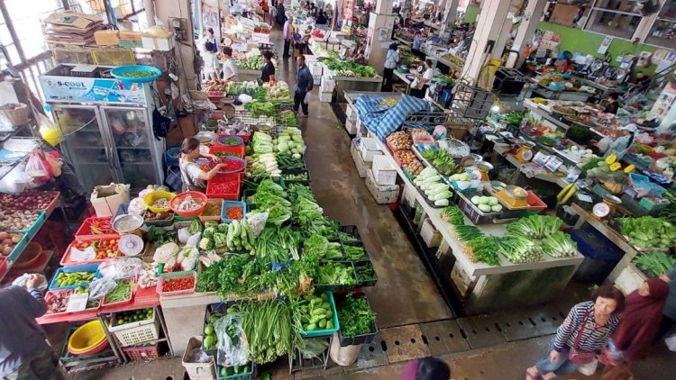 น้ำท่วมใต้เป็นเหตุ! ผักเบตง ‘พาเหรดขึ้นราคา’ ผักชีพุ่งทะยานกิโลกรัมละ 300 บาท