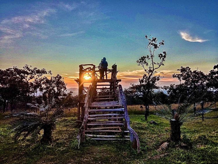 สุดฟิน 13 องศา! นักท่องเที่ยวแห่พิชิต 'ผาสุดแผ่นดิน'ชมทะเลหมอก-ดูพระอาทิตย์ 3 แผ่นดิน