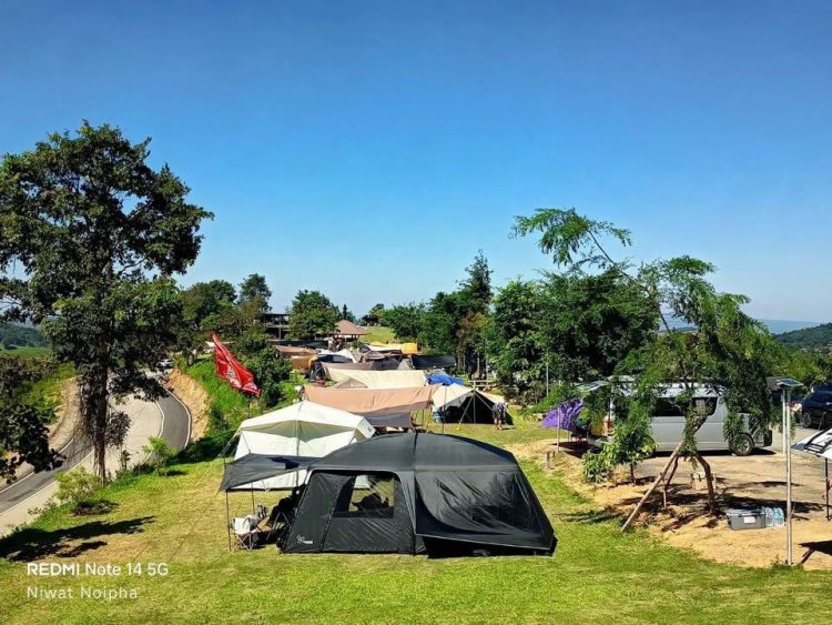 นักท่องเที่ยวแห่กางเต็นท์ยนอน "เขาแผงม้า"วังน้ำเขียวโต้ลมหนาว ชมกระทิงยามเช้า