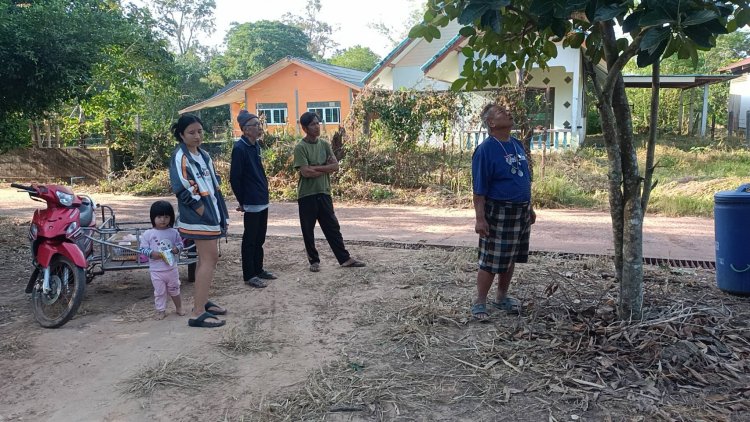 ชาวบ้านนาดีเมืองปราจีนบุรีผวา "เจ้าาแอ๊ป"ช้างป่าทับลานลงเขาบุกกินขนุนถึงหน้าบ้าน