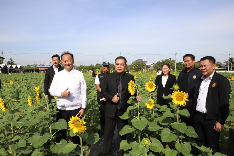 ผู้ว่าฯ ปทุมธานีชวนเที่ยวงาน“ทานตะวันบานสะพรั่งทั่วระแหง ครั้งที่ 6” เสริมแกร่งเศรษฐกิจฐานรากยั่งยืน