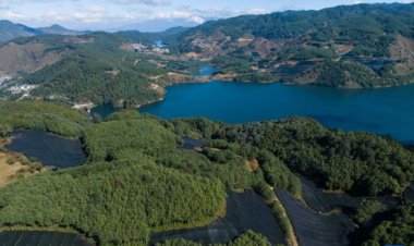 ‘เมืองเป่าซาน’ ดัน ‘วาซาบิ’ สร้างรายได้ชุมชน ขึ้นแท่นแหล่งปลูกใหญ่สุดในจีน