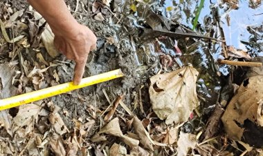 หวาดผวาทั้งหมู่บ้าน!พบรอยเท้าเสือโคร่งยักษ์โผล่ใกล้ชุมชนบ้านหนองบัว อ.แม่สอด