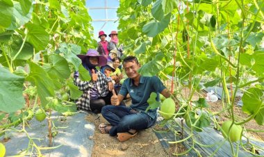 เกษตรกรบุรีรัมย์ต้นแบบ พลิกผืนนา "ปลูกผัก-เมล่อน"ขายสร้างรายได้ทุกวัน