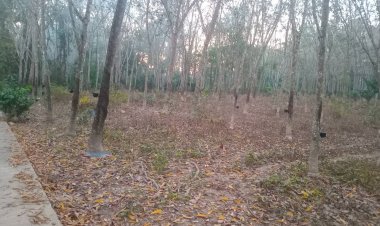 ชี้ระดมพล อปท.ทั่วประเทศ ฟื้นฟู “หาดใหญ่” ระบุ ดินสไลด์ทั่วเทือกเขาบรรทัดบางพื้นยที่พบ 10 จุดเบื้องต้น