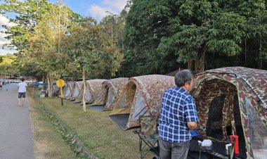 หยุดยาวเขาใหญ่คึกคัก!นทท.แห่นอนกางเต็นท์สัมผัสอากาศหนาวเย็น