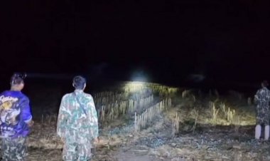 จนท.เร่งผลักดันช้างป่ากลับคืนสู่ป่าลึกหลังโผล่ทำลายสวนพืชผล