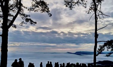 นทท.แห่ชมทะเลหมอกยอดภูเรือ ท่ามกลางไม้ดอกเมืองหนาว อุณหภูมิ 14 องศา