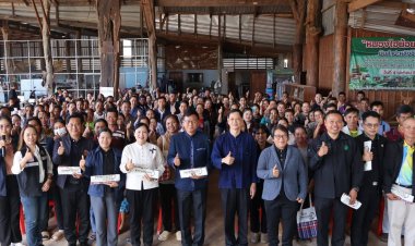 อำนาจเจริญลุยถ่ายทอดเทคโนฯผลิตท่อนพันธุ์มันเพิ่มผลผลิต ลดต้นทุน ยกระดับคุณภาพชีวิต