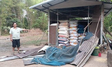 "เจ้าแข็งแกร่ง-เจ้างาบิด"หิวโซออกจากป่าบุกปล้นพังยุ้งข้าวชาวบ้านพังยับ