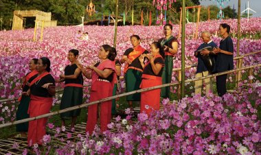ชัยภูมิเปิดทุ่งคอสมอสซับสะเลเต รับลมหนาวบนขุนเขา ดึงนักท่องเที่ยวปลายปี