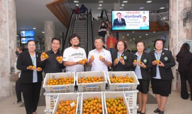 มอบน้ำใจ เติมความสดชื่น—ส้มจากสวนสู่โรงพยาบาลชัยภูมิ