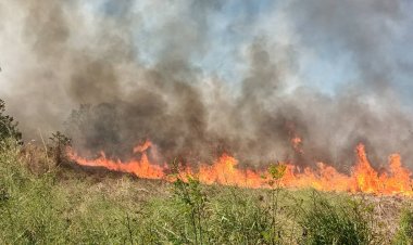 ไอ้โม่งแอบเผาป่าหน้าแล้งไฟโหมลามเข้าบ้านยายหวิดวอดทั้งหลัง