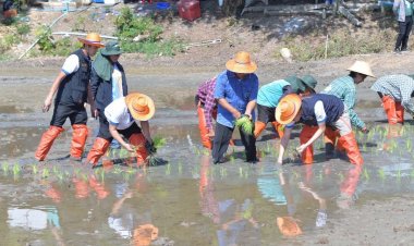‘สุขเต็มนา RIo10@ทุ่งบางกุ่ม’แปลงต้นแบบ‘นาเปียกสลับแห้ง’