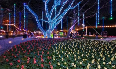 สีสันตระการตาในสายลมหนาว “มหกรรมไม้ดอกอาเซียน เชียงราย 2025”กระตุ้นท่องเที่ยว