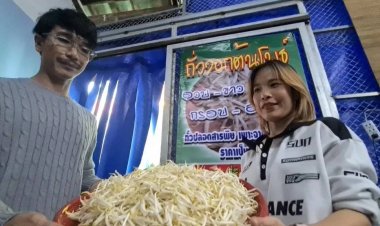 อาชีพที่หลายคนมองข้าม!"เพาะถั่วงอก"ลงทุนต่ำแค่หลักพันขายได้หลักหมื่นต่อเดือน