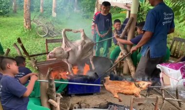 ปั้นเถ้าแก่น้อยทำ "หมูย่างเมืองตรัง"ต่อยอดอาชีพเชิงพาณิชย์ในอนาคต