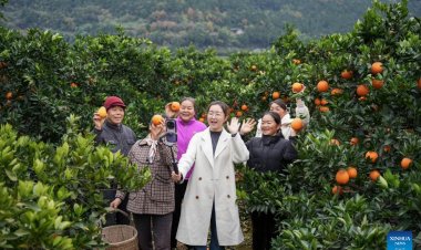 อำเภอชางซี มณฑลเสฉวน สร้างโมเดลนวัตกรรมขับเคลื่อนการพัฒนาชนบท