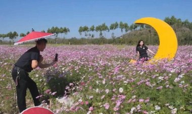 ฟีลเมืองนอก!“ทุ่งคอสมอสบ้านหนองจาน”สระบุรี สวยละลานตา โอบกอดขุนเขา 360 องศา