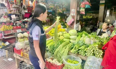 ชัยภูมิอากาศหนาวเย็นกระทบแปลงพืชผักออกผลผลิตน้อยดันราคาพุ่ง