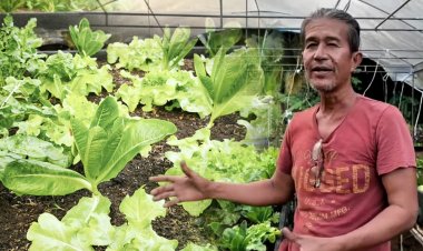 “สวนพี่ไก่ หาดป่าทราย” คนต้นแบบเกษตรอินทรีย์กลางเกาะยาวน้อย