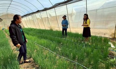 ชู "บ้านดงกล้วย"ต้นแบบ เลี้ยงจิ้งหรีดส่งออก–ปลูกสมุนไพร–หม่อนเลี้ยงไหม สร้างรายได้ยั่งยืน