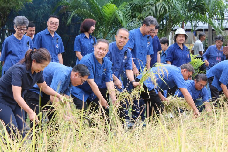 "พช." จับมือประชารัฐรักสามัคคีปทุมธานี "จัดกิจกรรมหว่านวันแม่ เกี่ยววันพ่อ"