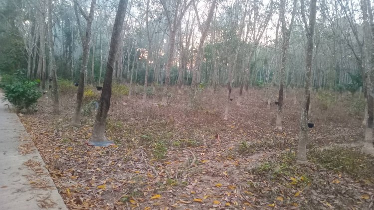 ชี้ระดมพล อปท.ทั่วประเทศ ฟื้นฟู “หาดใหญ่” ระบุ ดินสไลด์ทั่วเทือกเขาบรรทัดบางพื้นยที่พบ 10 จุดเบื้องต้น