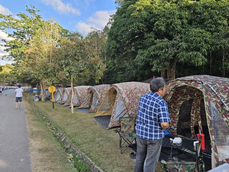 หยุดยาวเขาใหญ่คึกคัก!นทท.แห่นอนกางเต็นท์สัมผัสอากาศหนาวเย็น