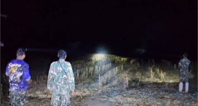 จนท.เร่งผลักดันช้างป่ากลับคืนสู่ป่าลึกหลังโผล่ทำลายสวนพืชผล