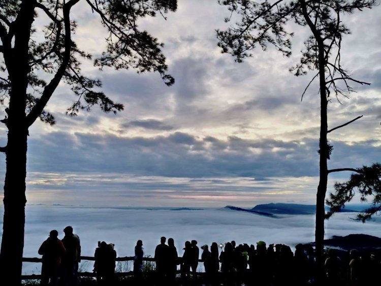 นทท.แห่ชมทะเลหมอกยอดภูเรือ ท่ามกลางไม้ดอกเมืองหนาว อุณหภูมิ 14 องศา