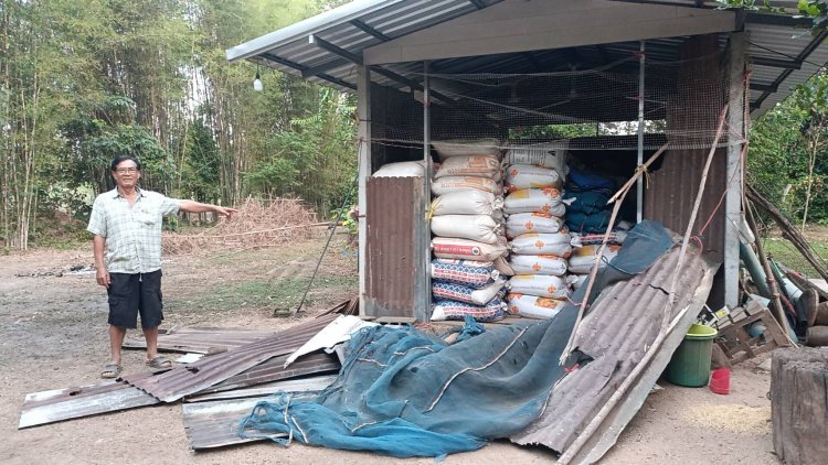 "เจ้าแข็งแกร่ง-เจ้างาบิด"หิวโซออกจากป่าบุกปล้นพังยุ้งข้าวชาวบ้านพังยับ