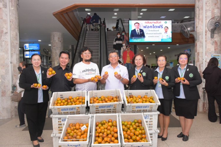 มอบน้ำใจ เติมความสดชื่น—ส้มจากสวนสู่โรงพยาบาลชัยภูมิ
