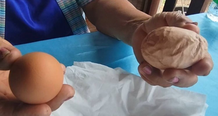ฮือฮา!!ไข่ไก่ประหลาดมีรอยนูนขึ้นตามลูก คล้ายกับตัวเลข อยู่รอบด้าน