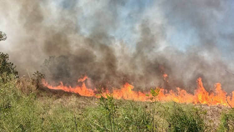 ไอ้โม่งแอบเผาป่าหน้าแล้งไฟโหมลามเข้าบ้านยายหวิดวอดทั้งหลัง