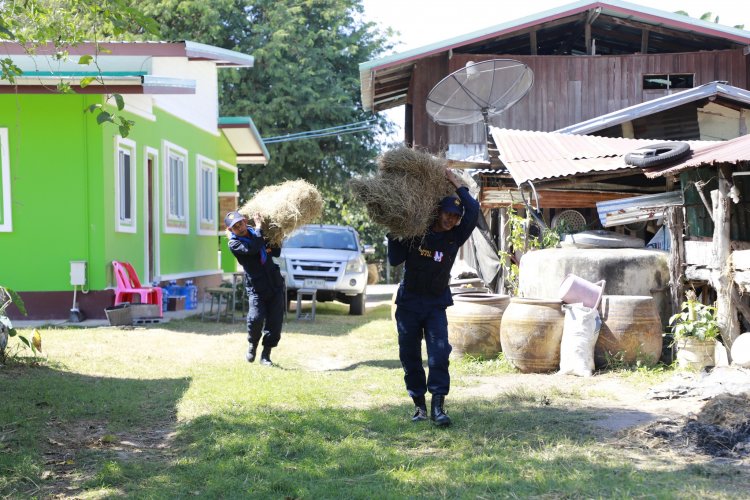 ชรบ.-ผู้นำชุมชนระดมหญ้าแห้ง-อาหารให้สัตว์เลี้ยงเพื่อความอุ่นใจผู้อพยพสู้รบชายแดน