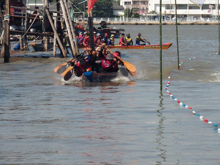 เทศบาลตำบลบางปู จัดโครงการแข่งขันเรือพายพื้นบ้าน