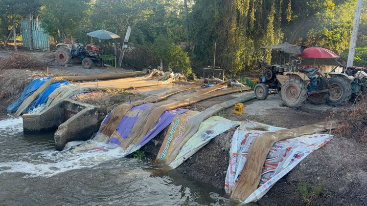 อ่างทองระดมเครื่องสูบฯ เคลียร์พื้นที่นาที่รับน้ำท่วม เพื่อเก็บเกี่ยวหลังออกรวง